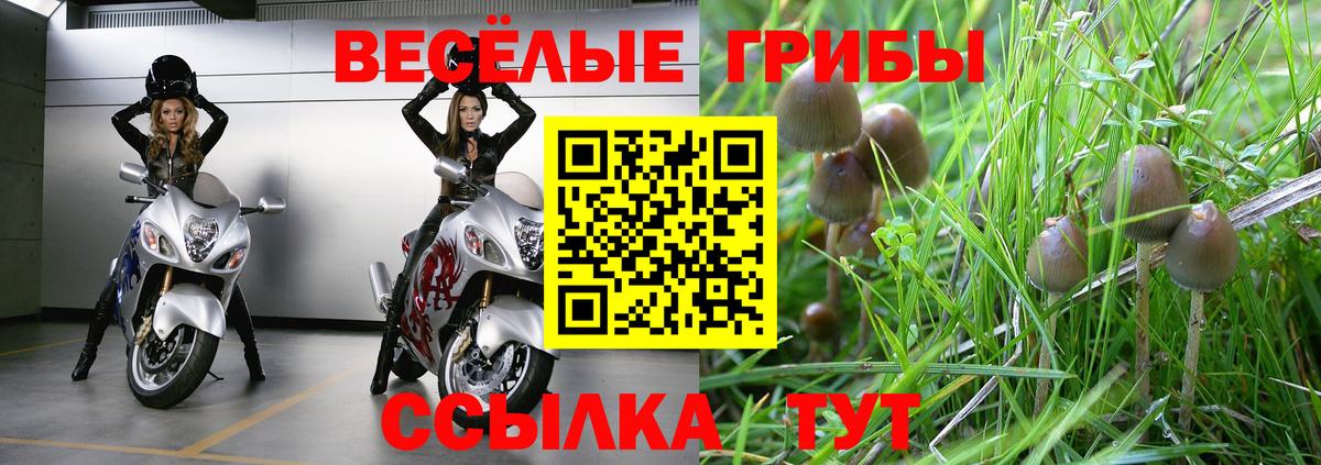 Псилоцибиновые грибы MAGIC MUSHROOMS  Вход с VPN  Дзержинский  Псилоцибиновые грибы прущие грибы 