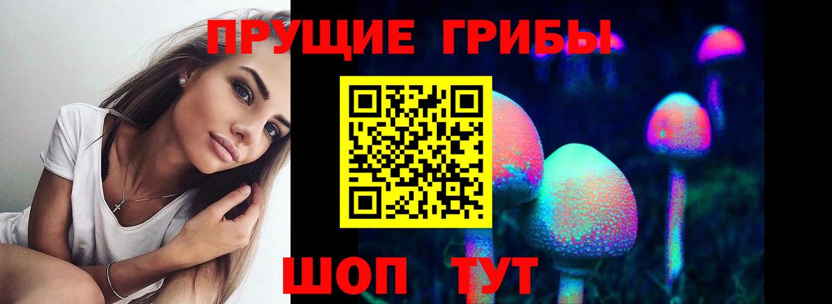 Галлюциногенные грибы Cubensis Дзержинский